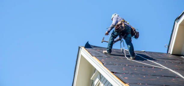 Best Shingle Roofing Installation  in Tybee Island, GA
